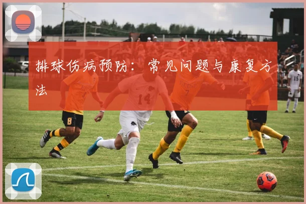 排球伤病预防:常见问题与康复方法