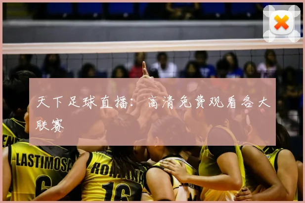 天下足球直播：高清免费观看各大联赛