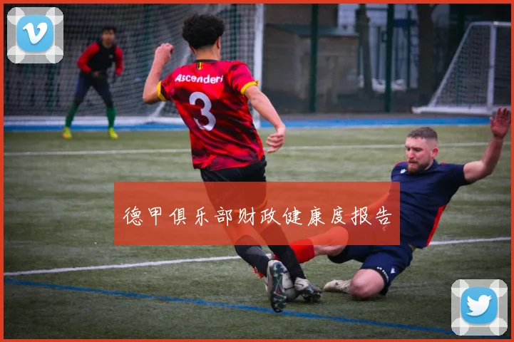 德甲俱乐部财政健康度报告