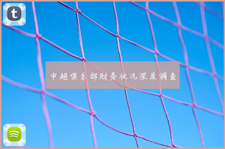 中超俱乐部财务状况深度调查